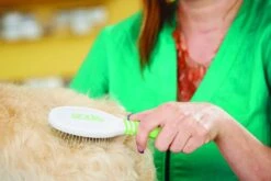 Andis Pin Brush - Medium -Grooming Tools Sales AN 65715 2