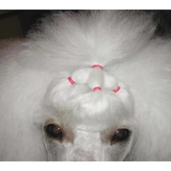 Davis Latex Grooming Bands Natural 500pcs