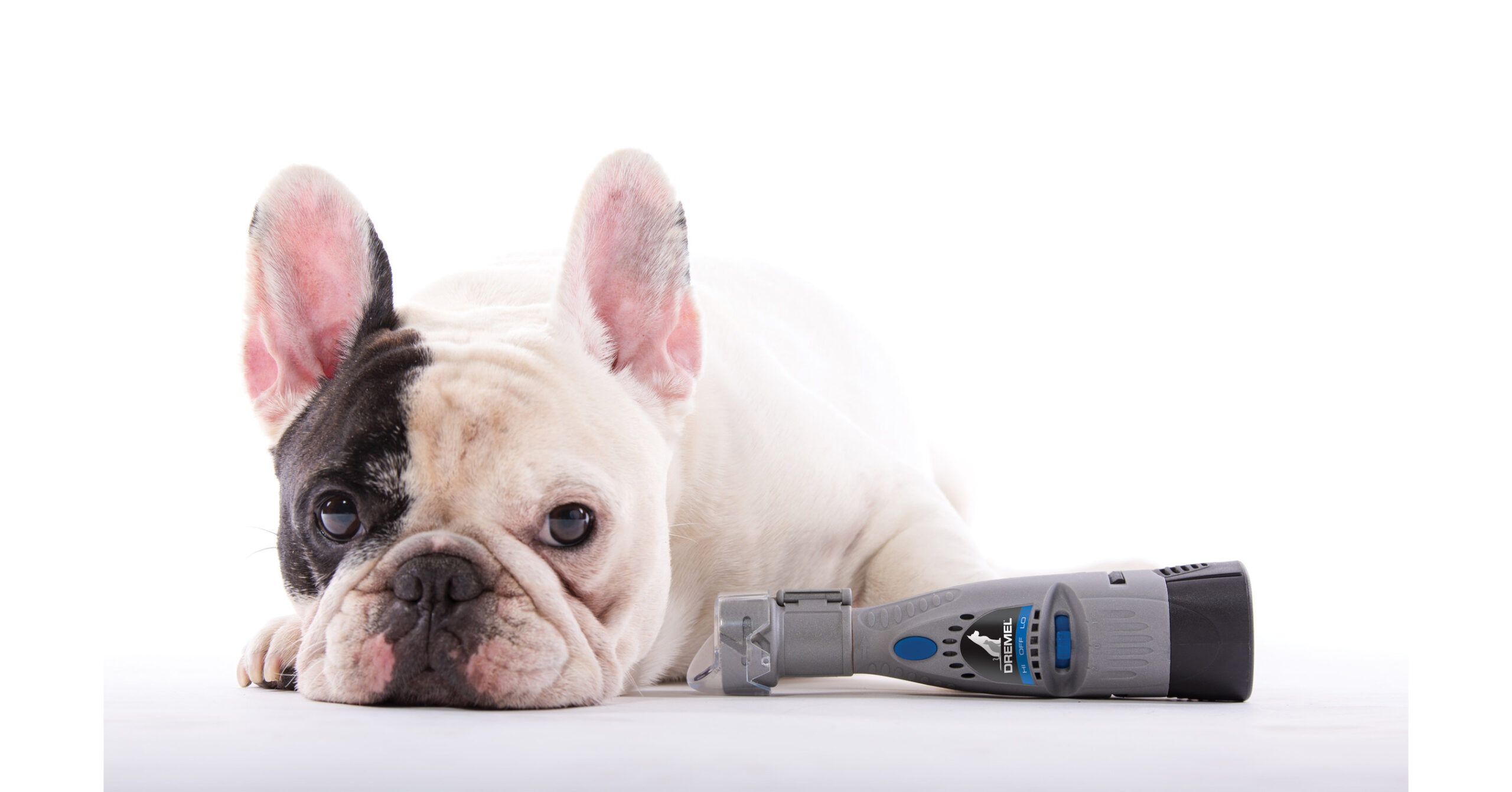 Grooming Tools Sales -Grooming Tools Sales Dremel 7300 PGK scaled