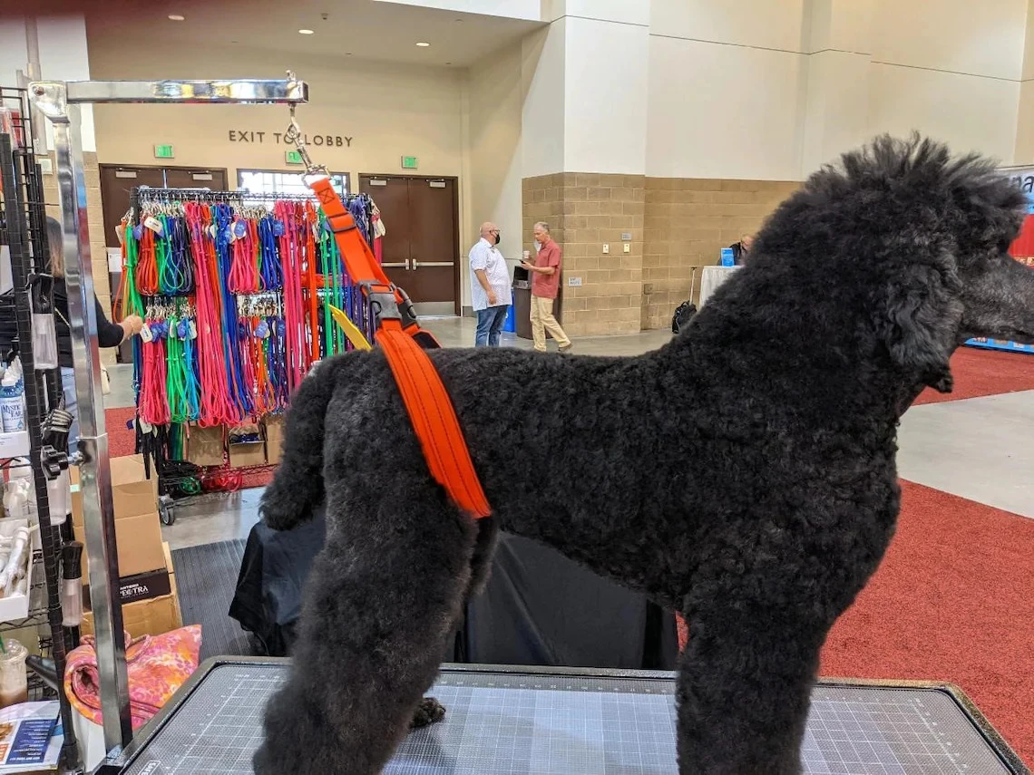 GroomTech Biothane Belly Strap Set - Teal 2 GroomTech Biothane Belly Strap Set - Teal - Image 2