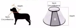 Groomtech Elizabethan Collar #5, Neck Circum 25-34cm, Depth 13cm -Grooming Tools Sales GT ECA05 3