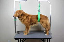 GroomTech Biothane Safety Grooming Tether [Colour: Teal] -Grooming Tools Sales GT SGT01 TE 1