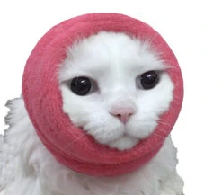 Happy Hoodie Blue, X-Small 19 Happy Hoodie Blue, X-Small -Grooming Tools Sales HH 00 BU 9