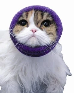 Happy Hoodie Pink, X-Small -Grooming Tools Sales HH 00 PK 8