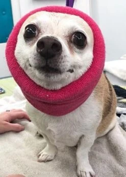 Happy Hoodie Pink, Pack Of 2 -Grooming Tools Sales HH 01 PK 3