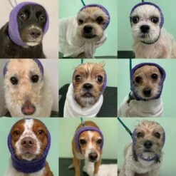 Grooming Tools Sales -Grooming Tools Sales HH 01S PK 1