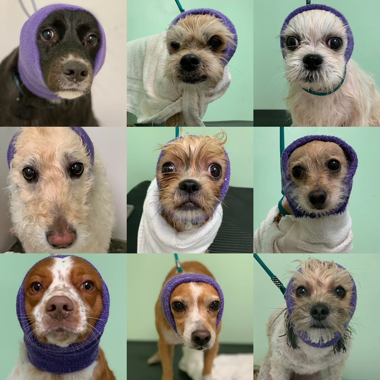 Happy Hoodie Pink, X-Large 2 Happy Hoodie Pink, X-Large - Image 2