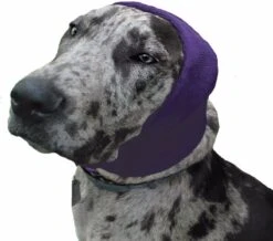 Happy Hoodie Purple, X-Large -Grooming Tools Sales HH 02 PP 2