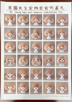 Mr. Jiang Model Dog Demonstration Poster 051