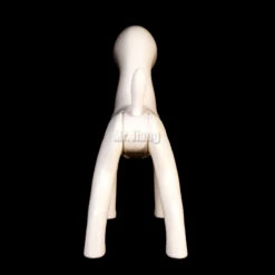 Mr. Jiang Bichon Frise Mannequin / Model Dog 029 -Grooming Tools Sales MJ BF01 3