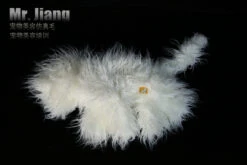 Mr. Jiang Bichon Frise Full Body Coat / Model Dog 030 -Grooming Tools Sales MJ BF02W 6