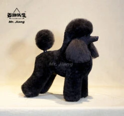 Mr. Jiang Poodle Lamb Clip Full Body Coat / Model Dog [Black] 038