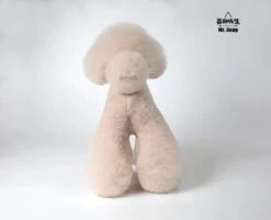 Mr. Jiang Teddy Bear Full Body Coat / Model Dog [Milk Tea] 005 -Grooming Tools Sales MJ TB02MT 3