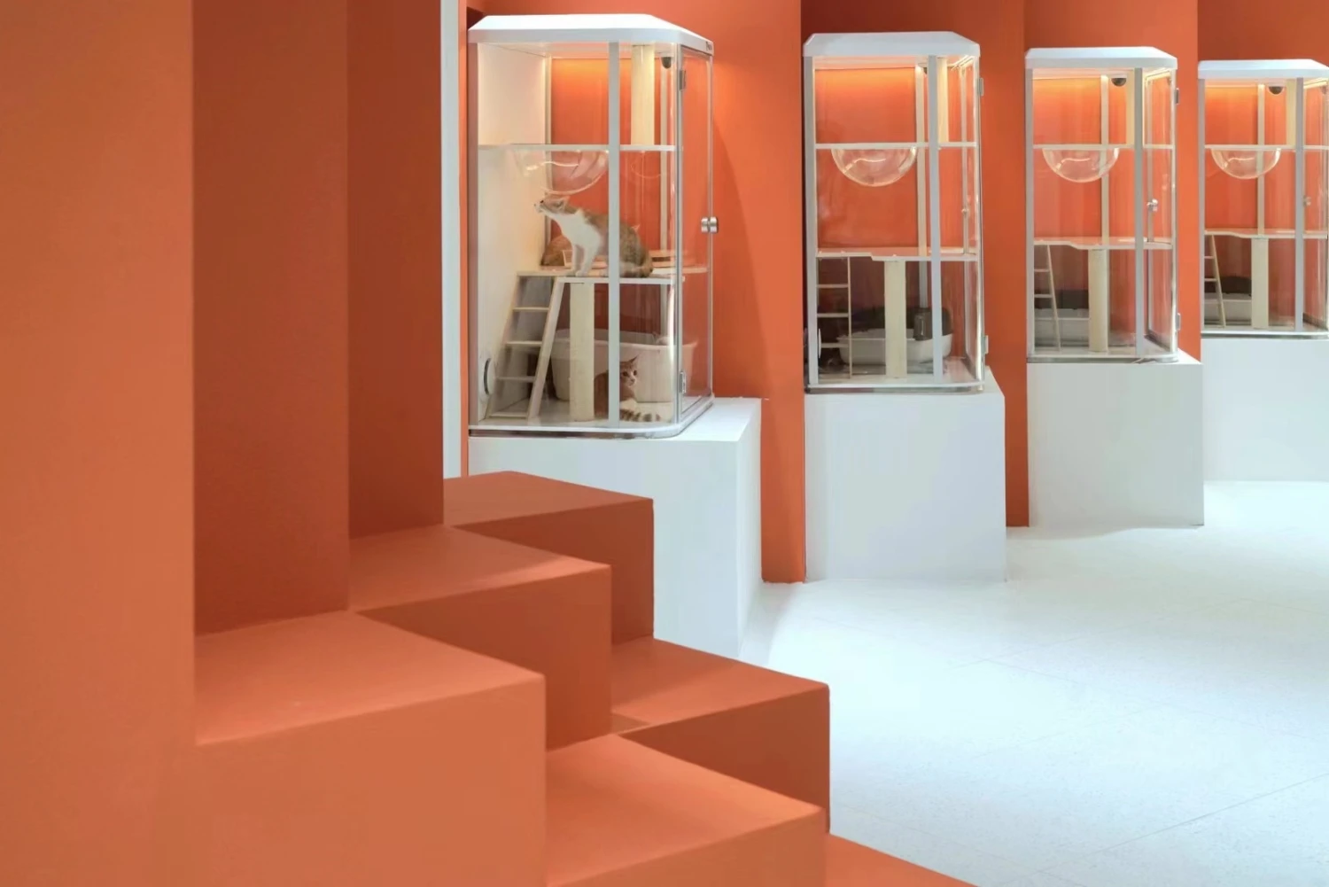 Pilton Smart Cat Cabin Condo C01 1 Pilton Smart Cat Cabin Condo C01