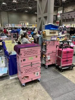 SolidPet Folding Dog Show Aircraft Cage Set With Trolley Size 2 - Pink 17 SolidPet Folding Dog Show Aircraft Cage Set With Trolley Size 2 - Pink -Grooming Tools Sales SP ALAC216 PI22 1