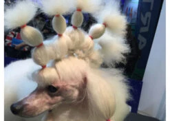 Show Tech Wrapping Bands Wrap Hot Pink1000 Pcs