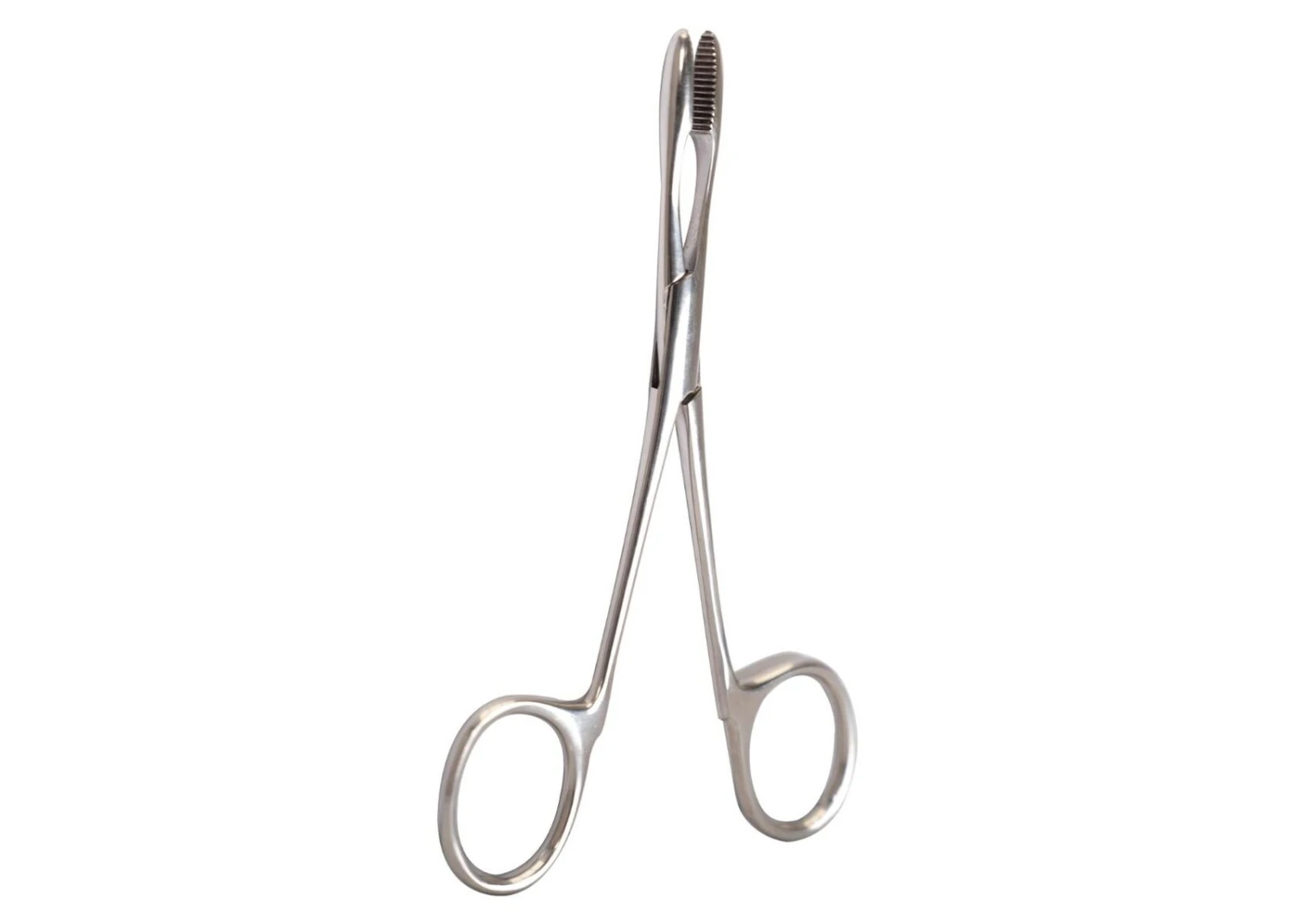 Show Tech + Ear Safety Forceps Hair Puller Hemostat Straight 14cm 5 Show Tech + Ear Safety Forceps Hair Puller Hemostat Straight 14cm - Image 5