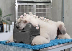 Show Tech Topknot Cushion Pillow Glitzy Black - Small -Grooming Tools Sales ST 94917 2