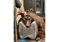 Show Tech Topknot Cushion Pillow Glitzy Black - Small -Grooming Tools Sales ST 94917 3