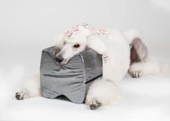 Show Tech Topknot Cushion Pillow Glitzy Black - Small -Grooming Tools Sales ST 94917 4