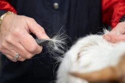 Show Tech Comfy Stripping Stick 13mm Double Sided 5 Show Tech Comfy Stripping Stick 13mm Double Sided -Grooming Tools Sales ST 95086 2