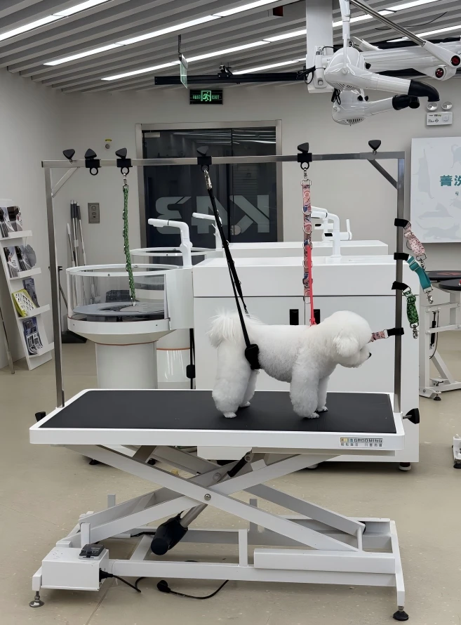 Aeolus Biothane Grooming Safety Tether Extension Strap - Teal 3 Aeolus Biothane Grooming Safety Tether Extension Strap - Teal - Image 3