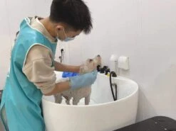 Aeolus Acrylic Bath Tub With Faucet And Sprayer Kit With Booster -Grooming Tools Sales T BTF1200DB 2