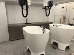 Aeolus Acrylic Bath Tub With Faucet And Sprayer Kit With Booster -Grooming Tools Sales T BTF1200DB 4