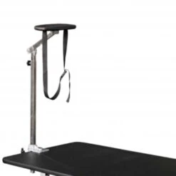 Aeolus Comfortable Grooming Support With Pillow