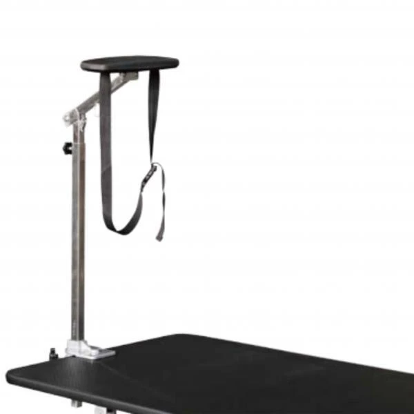 Aeolus Comfortable Grooming Support With Pillow 1 Aeolus Comfortable Grooming Support With Pillow