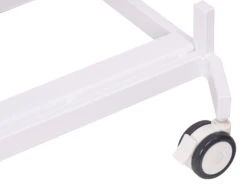 Aeolus Transportation Table With S/S Top And Removal Stretcher -Grooming Tools Sales T FT835 2