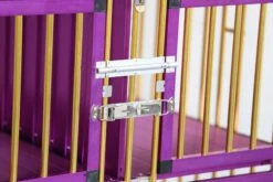 Aeolus 4-Berth Show Trolley With 6" Rubber Wheels - Large [Gold And Purple]