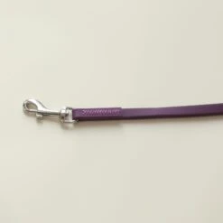 Aeolus Biothane Grooming Loop Restraint 24“ X 3/8“ - Purple