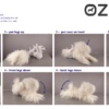KissGrooming Toy Poodle Long Coat For Model Dog Mannequin [White]