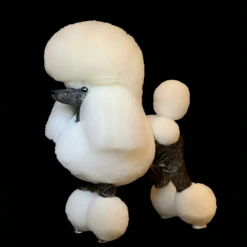 KissGrooming Competition Class White Coat - Continental