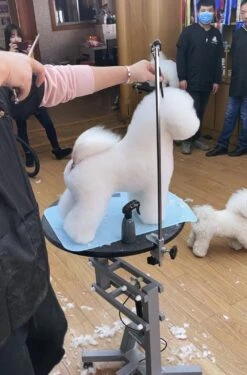 KissGrooming Silicone Mat For Grooming Table 57x40cm