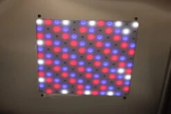 Aeolus KA509T Stainless Steel Economical ICU Cage - Medium -Grooming Tools Sales T UC1601M TH 2