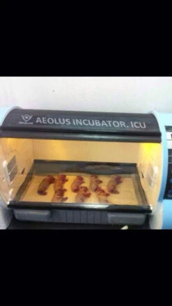 Aeolus Pet Incubator ICU Intensive Care For Small Animals UC1801 + Free Humidifier 21 Aeolus Pet Incubator ICU Intensive Care For Small Animals UC1801 + Free Humidifier -Grooming Tools Sales T UC1801 9