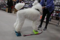 Vanity Fur Stacking Blocks Set Of 4 Small 2" X 2" - Cyan -Grooming Tools Sales VF STB CYA S 7