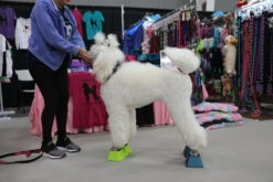 Vanity Fur Stacking Blocks Set Of 4 Small 2" X 2" - Jolly Blue -Grooming Tools Sales VF STB JBL S 3