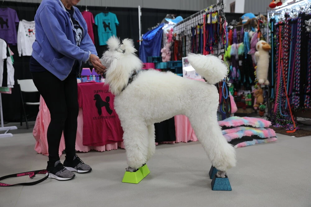 Vanity Fur Stacking Blocks Set Of 4 Medium 3" X 3" - Light Pink 4 Vanity Fur Stacking Blocks Set Of 4 Medium 3" X 3" - Light Pink - Image 4