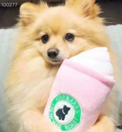 Dog Toy Starbarks Small Cup 11cm X 6cm