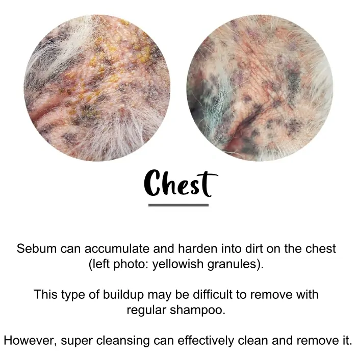 Zoic Super Cleansing 1L 2 Zoic Super Cleansing 1L - Image 2