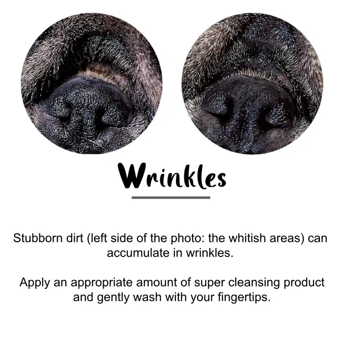 Zoic Super Cleansing 1L 3 Zoic Super Cleansing 1L - Image 3