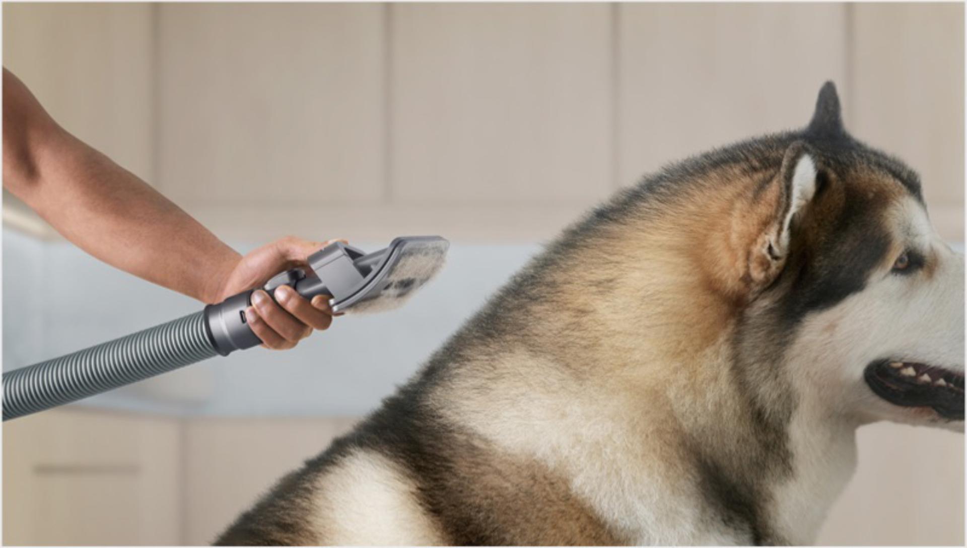 Grooming Tools Sales -Grooming Tools Sales pet grooming kit owners page mod3 feature stack 01